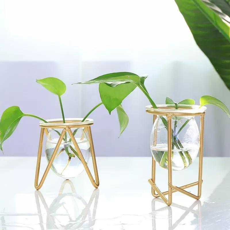 Modern Glass Plant Vase