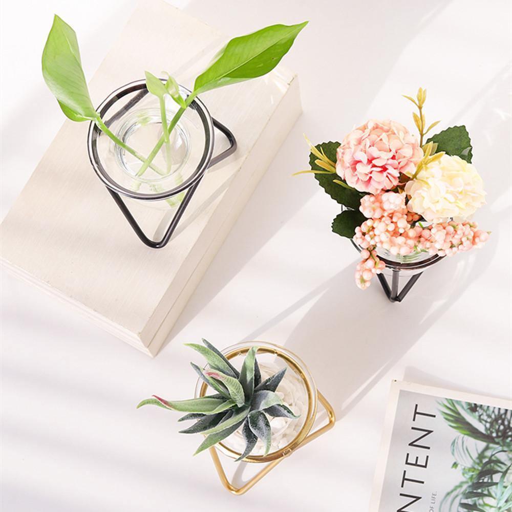 Modern Glass Plant Vase